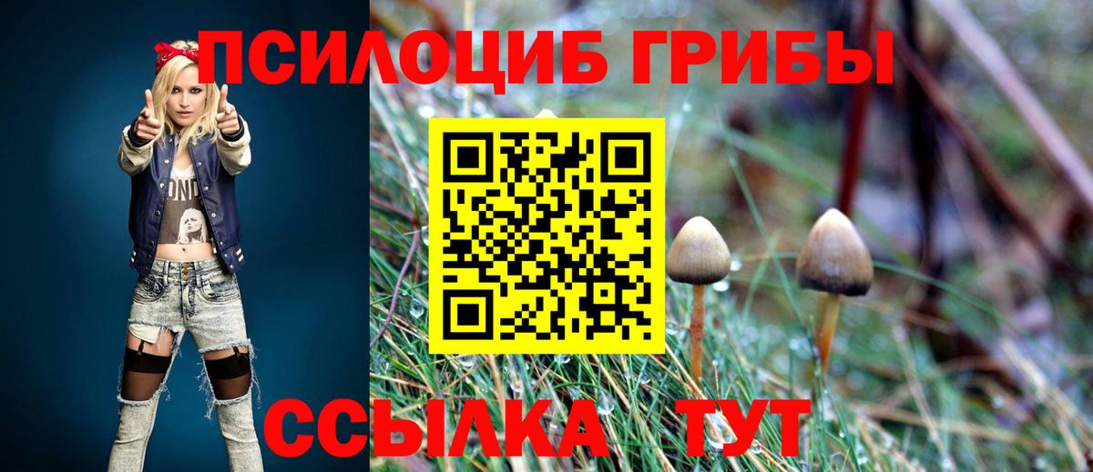 Кимры  ГАШИШ  ГАШИШ  Как найти наркотики?  Вход с VPN  ЭКСТАЗИ  Мефедрон  Бошки Шишки  Меф МЯУ МЯУ кристаллы 